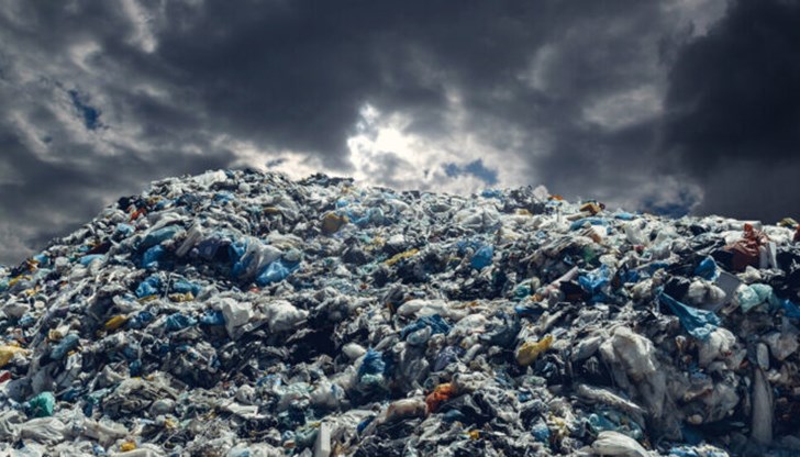 А ние, българите, сме най-тъпите малодушни идиоти в целия свят!