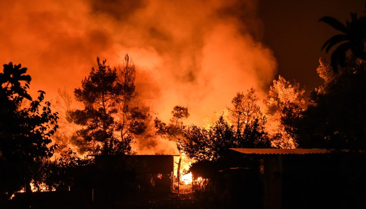Човек пострада, а 15 тона фураж са унищожени при пожар във фуражен силоз в село Дъбовик
