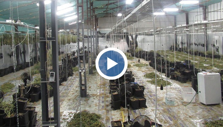 Хората от село Новград твърдят, че не са подозирали производството на наркотици