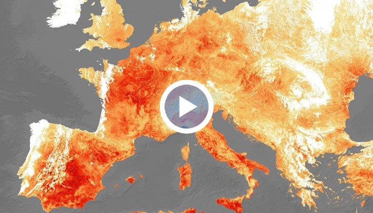 Изчезват птици и пеперуди, горещи вълни връхлитат континента