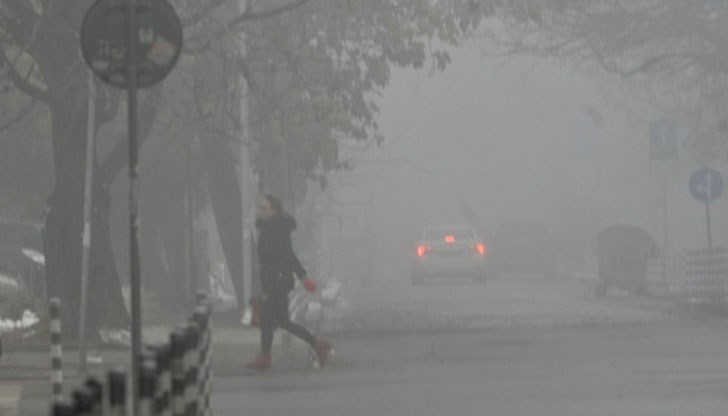 Разчитаме първо на природата – природата е тази, която се самоочиства, заяви шефът на института Разчитаме първо на природата – природата е тази, която се самоочиства, заяви шефът на института