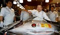 Продадоха огромна риба тон за близо 2 милиона долара