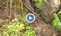 25 години питейна вода се лее от стар водопровод в Лозен