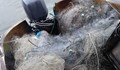 300 метра бракониерски мрежи са иззети от езерото Сребърна