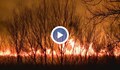 Пожарът в Драгоманското блато е овладян
