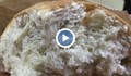Топъл хляб с миши изпражнения