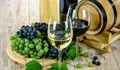 Виното е на изчезване заради климатичните промени