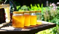 БАБХ унищожава 44 кг мед без етикети