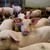 Отпада забраната за движение на прасета и месо в 39 ферми у нас