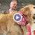 Бизнесмен плати 6 милиона долара, за да благодари на ветеринарите, спасили кучето му