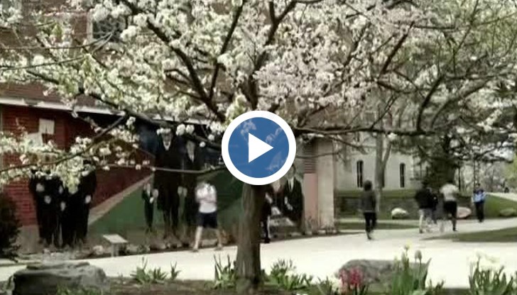 "Дървото на плодовете" ражда ябълки, праскови, сливи и други