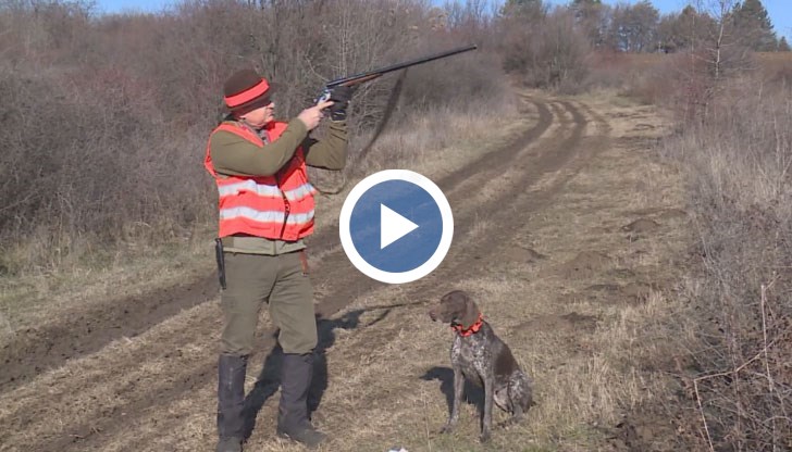 Месото се трупа във фризерите със седмици, а ако има само една положителна проба, това означава, че цялото месо трябва да бъде унищожено