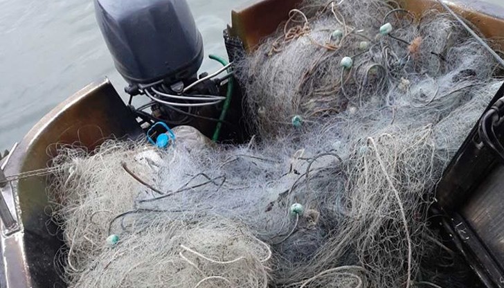 Мрежите били заложени във водите на езерото, където промишленият риболов е забранен