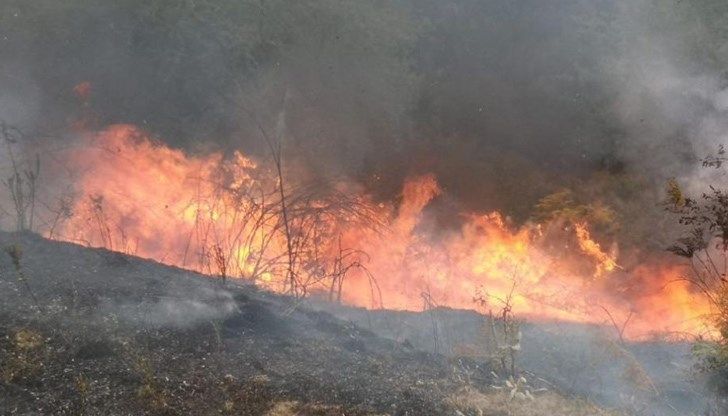 Зачестяват случаите на палене на сухи треви и боклуци