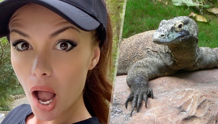 Фол певицата дори е захвърлила чантата и мобилния си телефон и побягнала