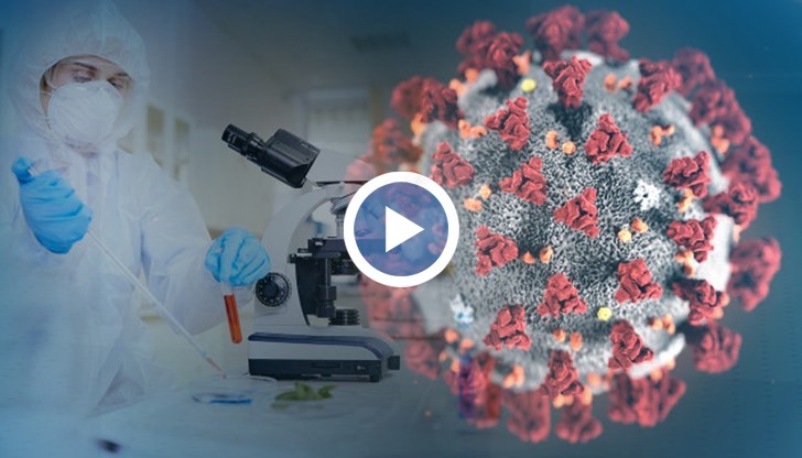 Американският център за контрол и превенция на заразни болести показа илюстрация на вируса