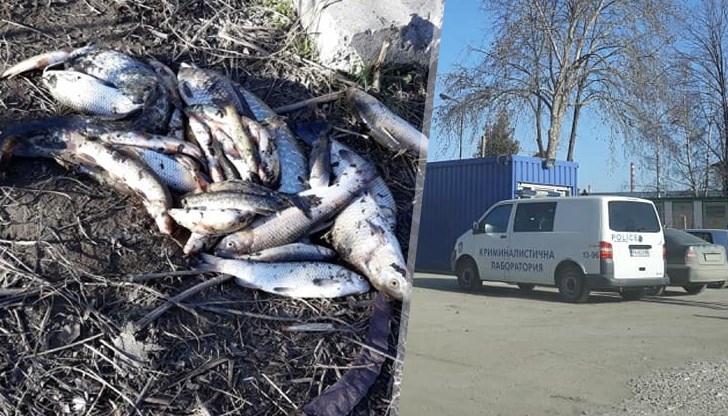 Фирма за преработка на пластмаси причини масово измиране на рибата