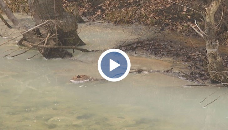 Мъртва река - няма риба, няма никакъв живот