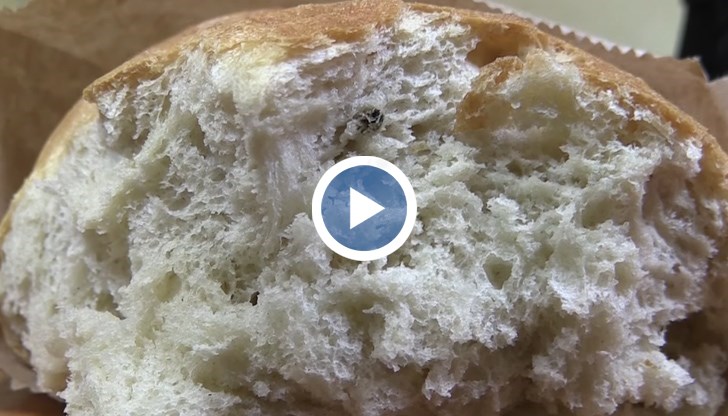 Николай Матев попадна на миши изпражнения в току-що купен "Топъл бял заводски хляб"