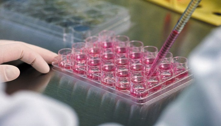 Професор Андрю Сийуел: Това откритие създава възможност за създаването на „общо“ лекарство за рак
