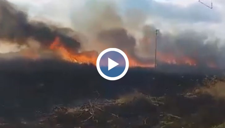 Пожар бушува в защитената местност Дуранкулашко езеро
