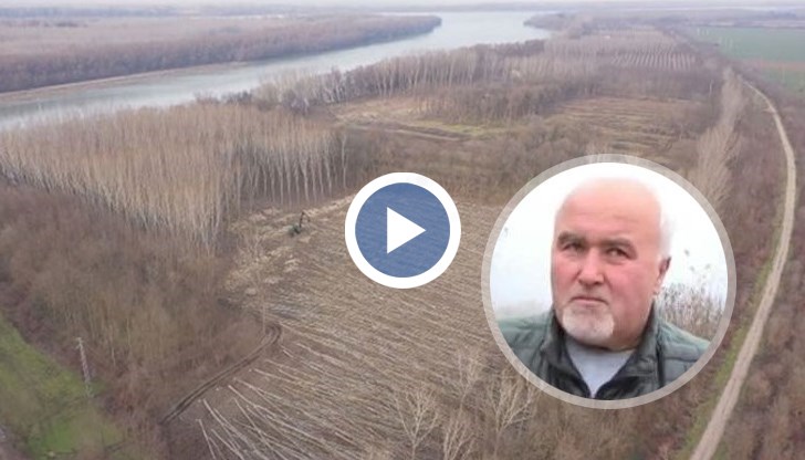 Предпазната дига на река Дунав между русенските села Бръшлен и Сандрово се руши