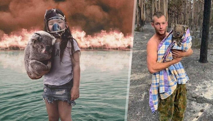 Пожарите, които бушуват в Австралия, взеха много жертви и предизвикаха големи материални щети