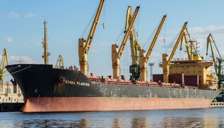 Няма шанс да са оцелели при тези климатични условия, заявиха от екипа от Спасителния център Няма шанс да са оцелели при тези климатични условия, заявиха от екипа от Спасителния център