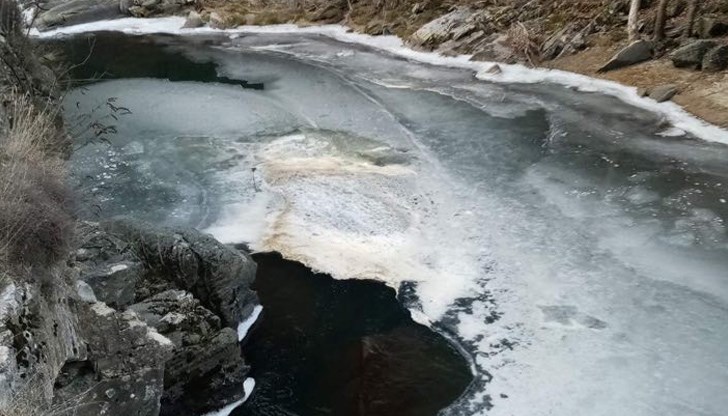 Сигнал за много мъртва риба и вода жълта пяна е изпратен и до РИОСВ Пловдив