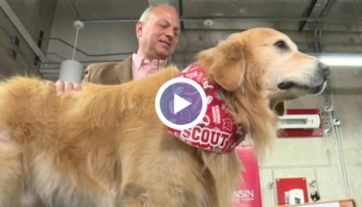 Скаут страда от рядък вид рак на стените на кръвоносните съдове и започва да припада