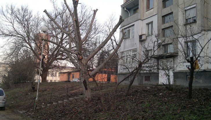 А, иначе се борим за опазване на природата!