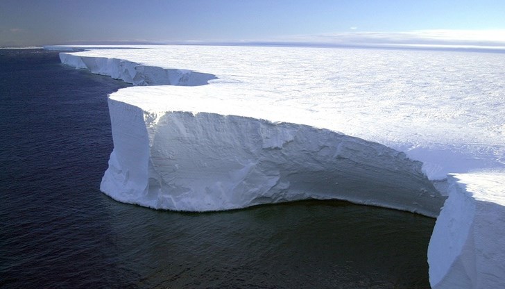 Климатичното затопляне неминуемо ще повлияе на флората и фауната на Антарктида
