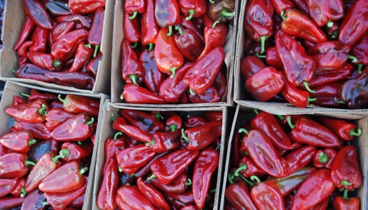 Иззетите количества пипер са унищожени Иззетите количества пипер са унищожени