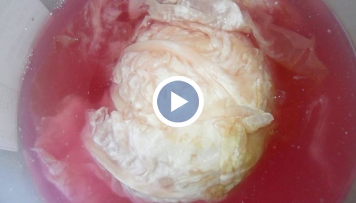 Освен като лек срещу махмурлука, киселото зеле е познато и като един от най-добрите антиоксиданти