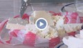 Лабораторни тестове показаха наличие на сирене менте на пазара