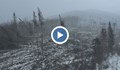 Буря изкорени за броени минути 50 хиляди дървета в Румъния