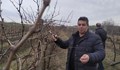 Галин Григоров зарязва лозите в Пиргово