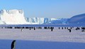 Живакът скочи над 18 градуса в Антарктида