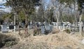 Далаверата да откраднеш надгробни паметници от Басарбовското гробище
