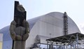 Гъби изяждат радиацията в АЕЦ Чернобил