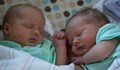 Три двойки близнаци се родиха на Свети Валентин в Пловдив