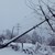 Села в Севлиевско са без ток четвърти ден