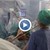 Пациентка свири на цигулка, докато хирурзи премахват тумор в мозъка ѝ