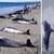 Рекорден брой мъртви делфини са изхвърлени на западното крайбрежие на Франция