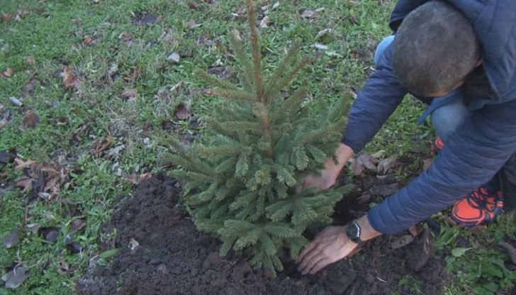 Общината ще окаже помощ на екоентусиастите Общината ще окаже помощ на екоентусиастите