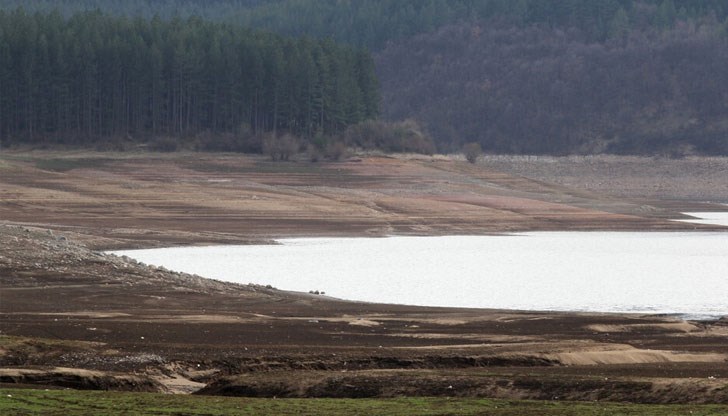 По думите му това са близо 50 000 куб.м. По думите му това са близо 50 000 куб.м.