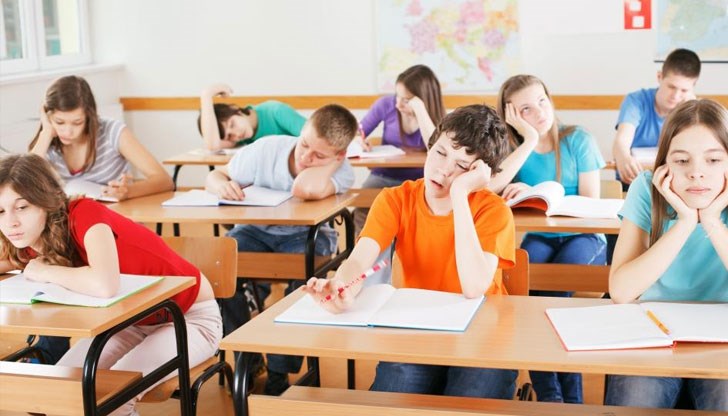 Учени изследвали поведението на ученици Учени изследвали поведението на ученици