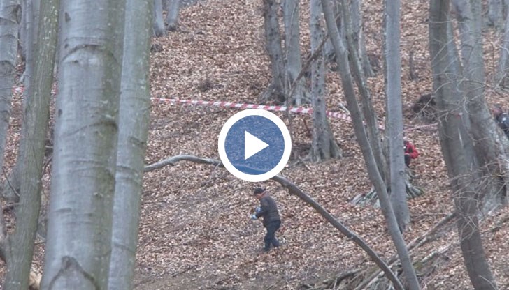 Потърсили са подслон зад едно изкоренено дърво, разказва планинарът, който ги е намерил