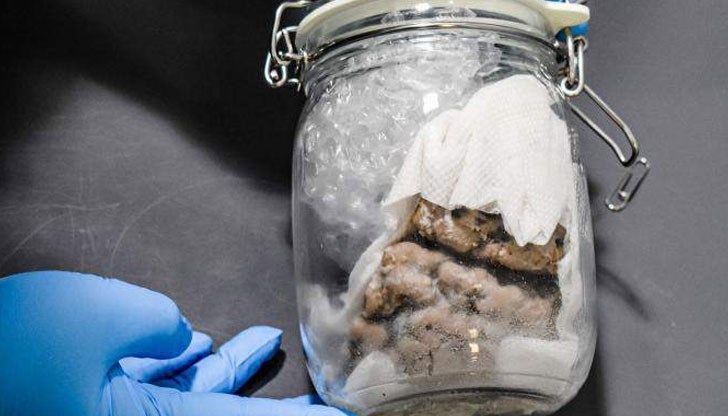 Пратката, обявена като „античен учебен образец“, е идвала от Торонто