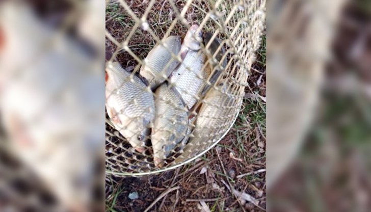 Рибар отнесе акт за улов от пет малки шарана